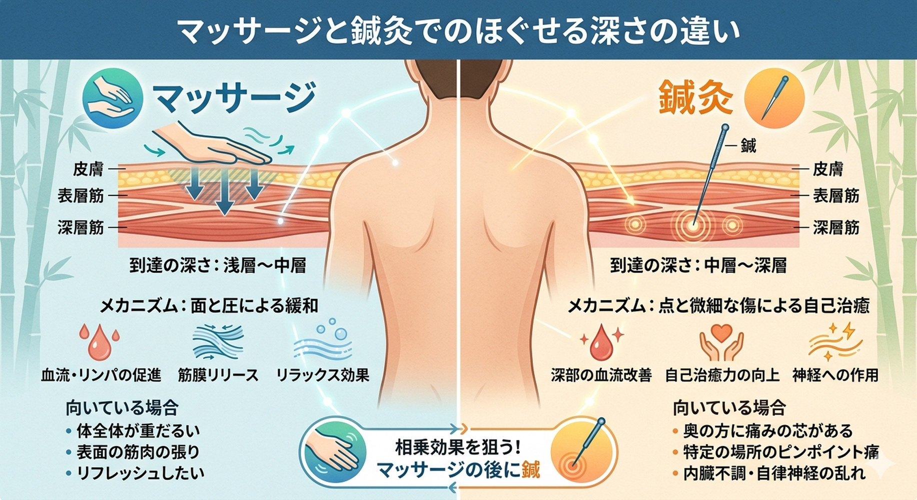 画像2539