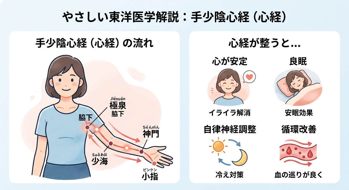 【東洋医学の知恵】心の疲れを癒す「心経」の経絡治療とは？プライベート鍼灸院（個室）【浅草橋・秋葉原】