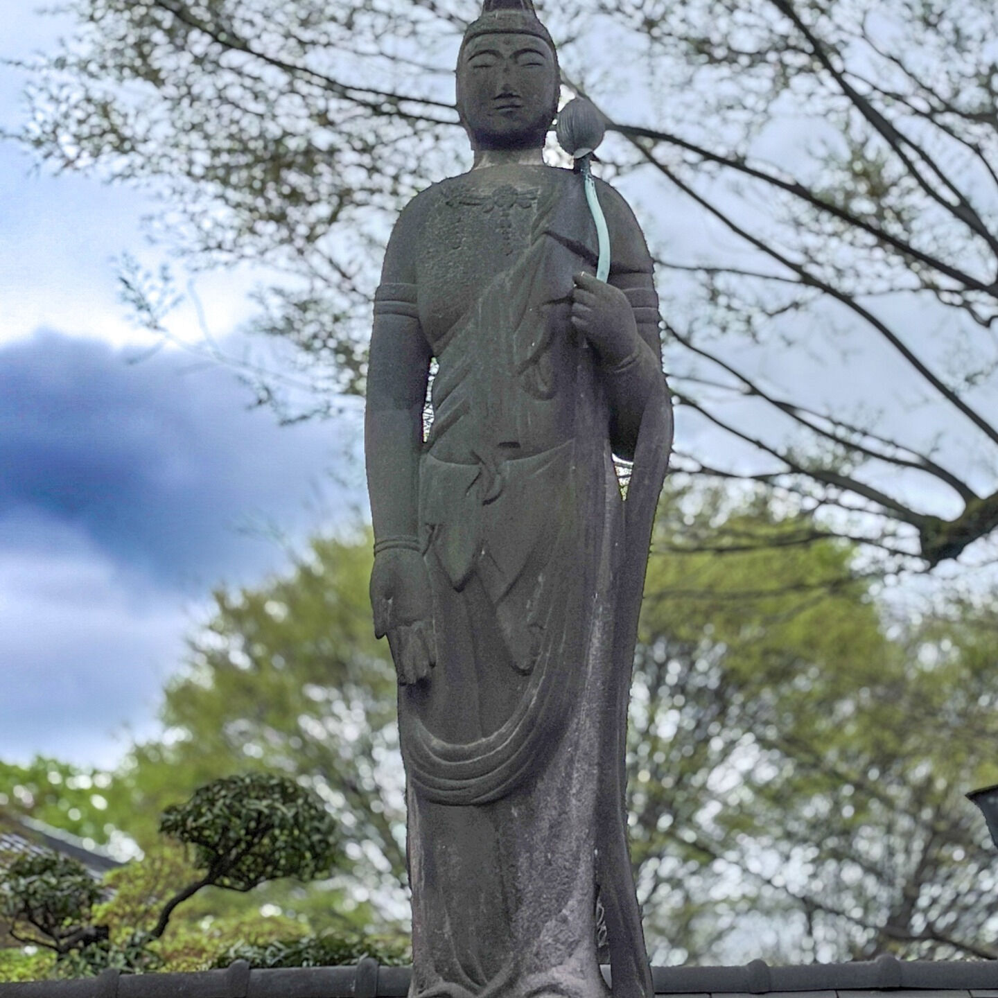 昨日、午前中かろうじて雨を逃れたので、浅草に「お花見」と「待