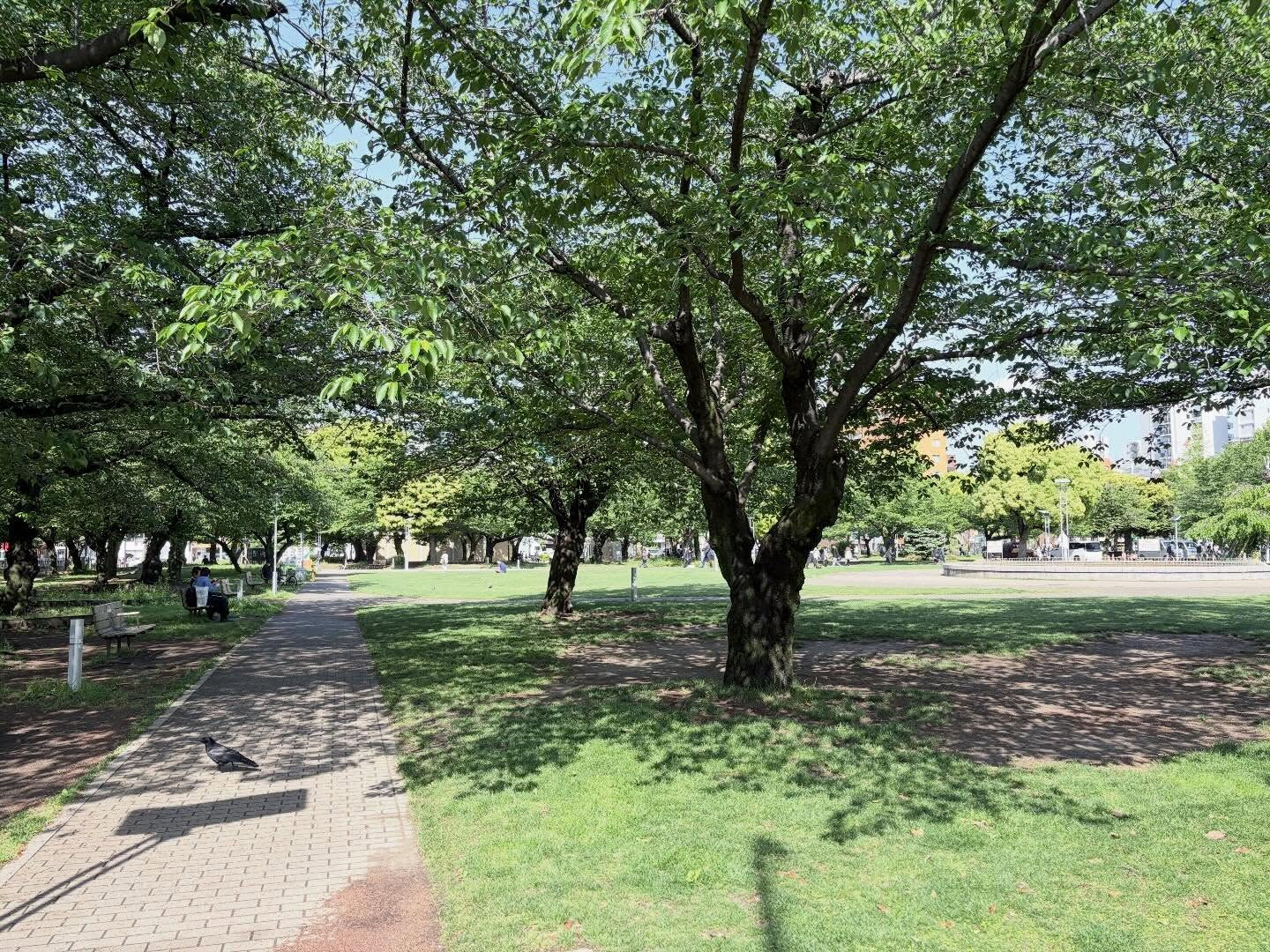 今日はかなり良い天気でしたね！