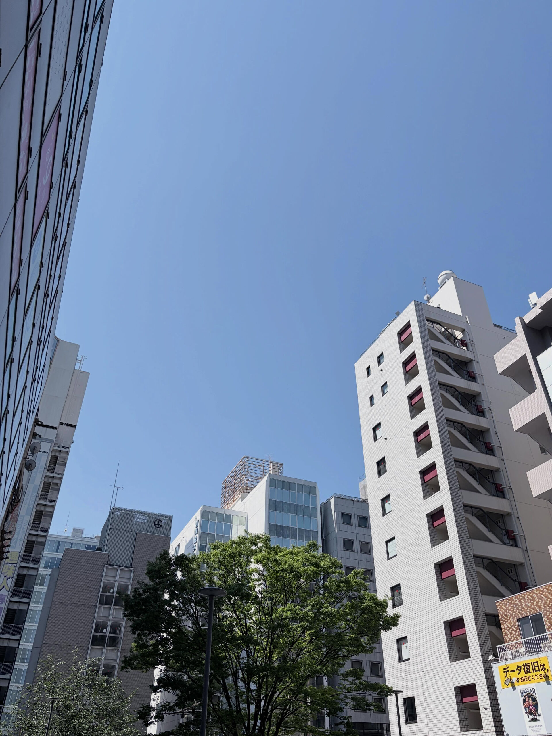 外で楽しむにはぴったりの天気ですね！