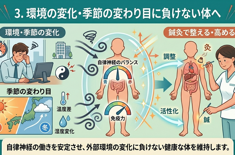    鍼灸治療は「いつ」受けるのがベスト？効果的なタイミングを解説【浅草橋のプライベート鍼灸院　SHIN-RYU】   
