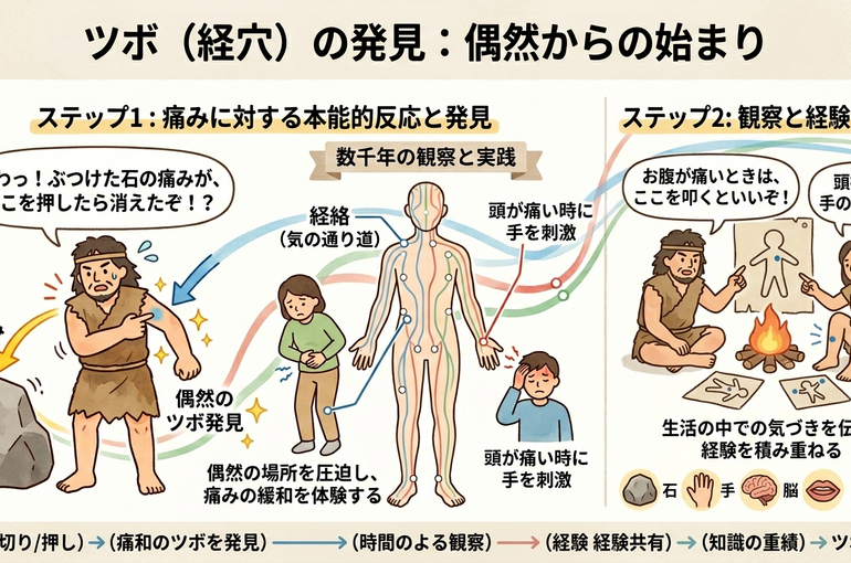    経穴（ツボ）はどうやって決まったの？東洋医学の歴史と現代の科学的根拠   