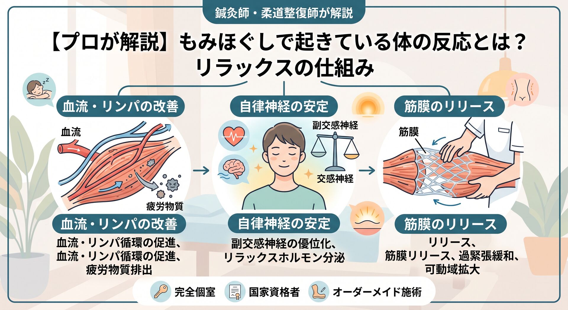 【プロが解説】もみほぐしで起きている体の反応はどんな事？鍼灸師・柔道整復師が教えるリラックスの仕組み