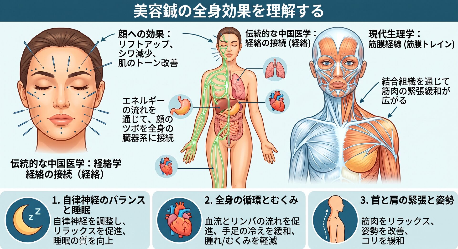 【鍼灸師が解説】美容鍼は顔だけではない！全身に起きる影響とは！？
