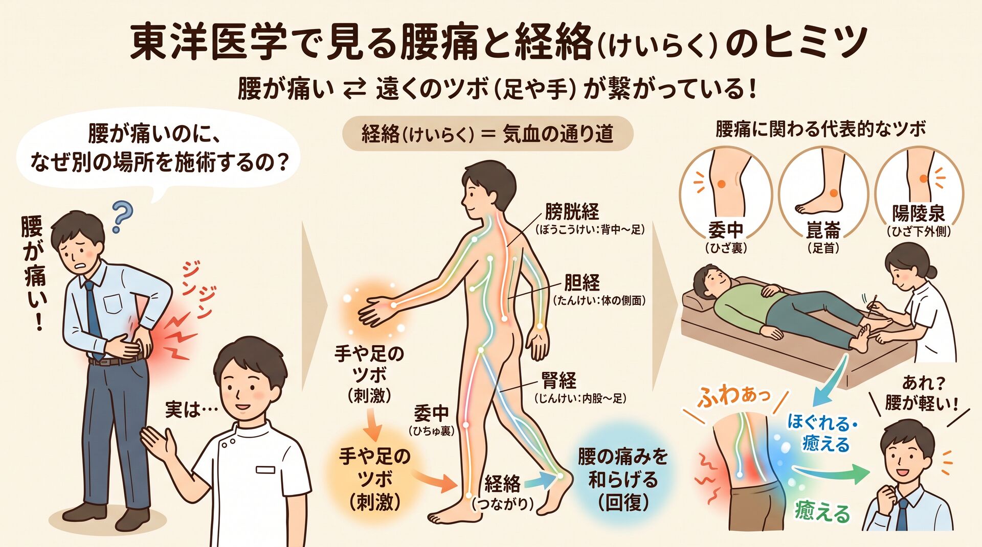 【鍼灸師・柔道整復師が解説】東洋医学で見る腰痛に関わる経絡とは？腰以外を施術する理由