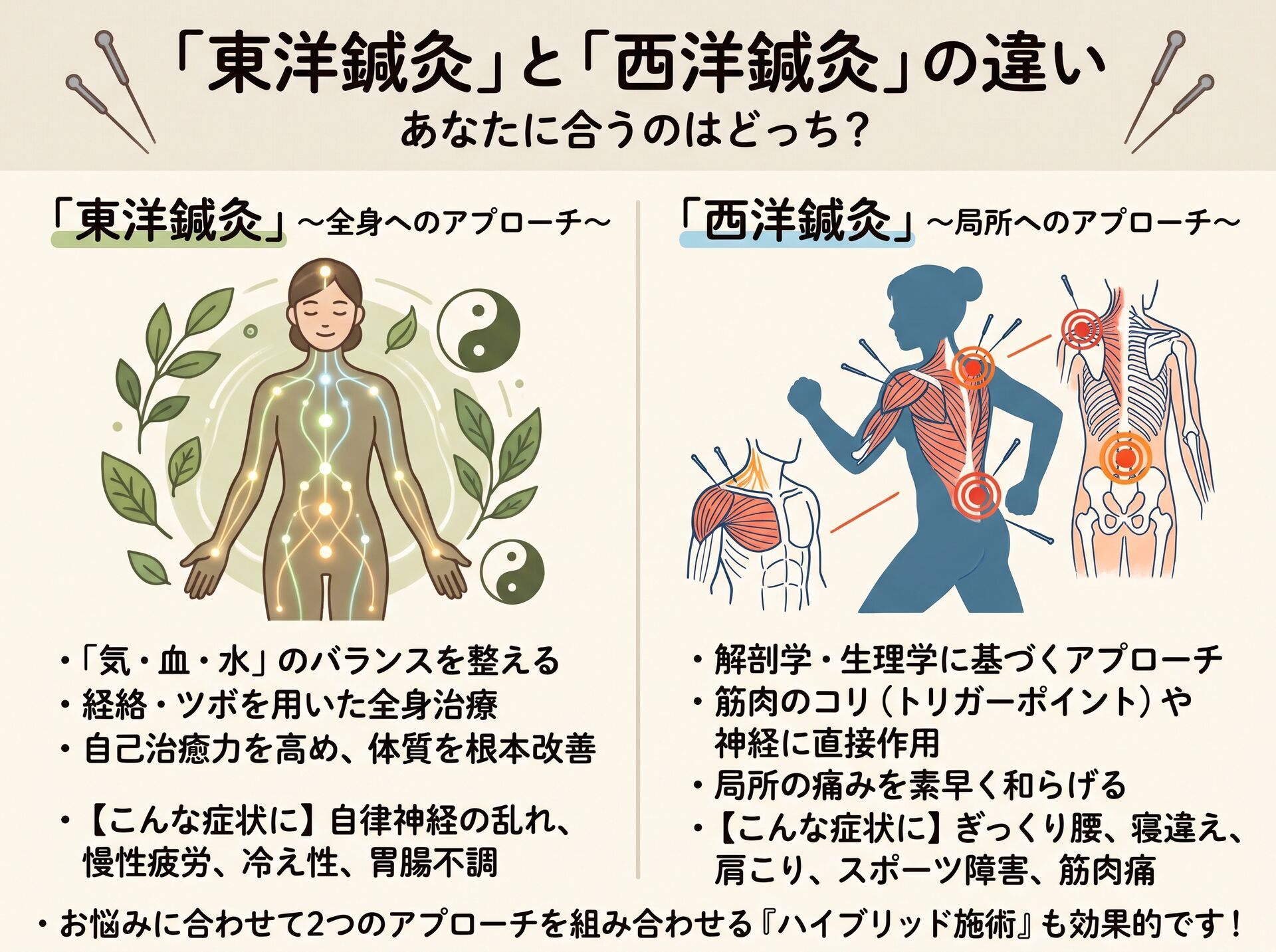 プロが解説！東洋鍼灸と西洋鍼灸のアプローチの違いとあなたに最適な治療の選び方